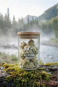 Pot en verre de fleurs de CBD "Alpine Mist" posé sur un tronc moussu au bord d'une rivière, avec une forêt de pins brumeuse en arrière-plan.
