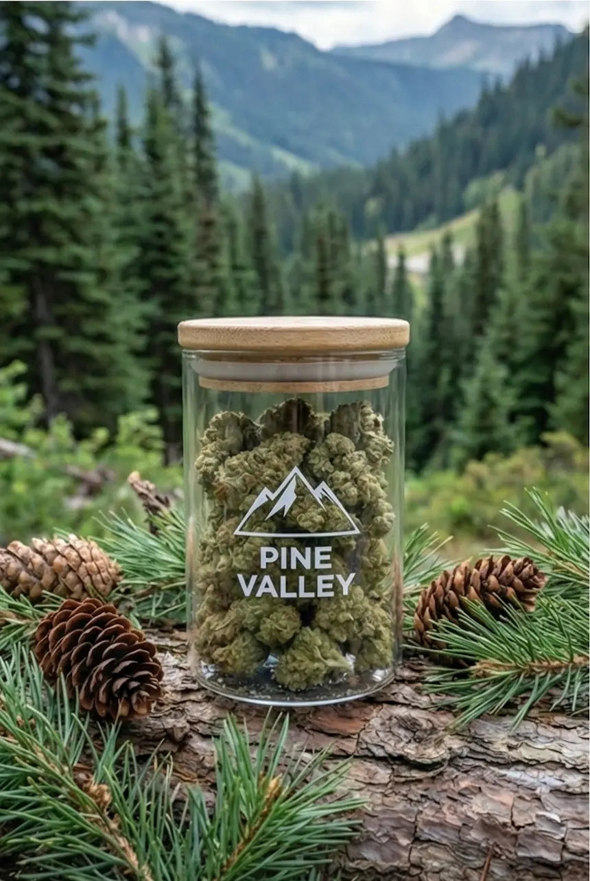 Pot en verre de fleurs de CBD "Pine Valley" posé sur un tronc d'arbre avec des pommes de pin, au cœur d'une forêt de sapins verdoyante.