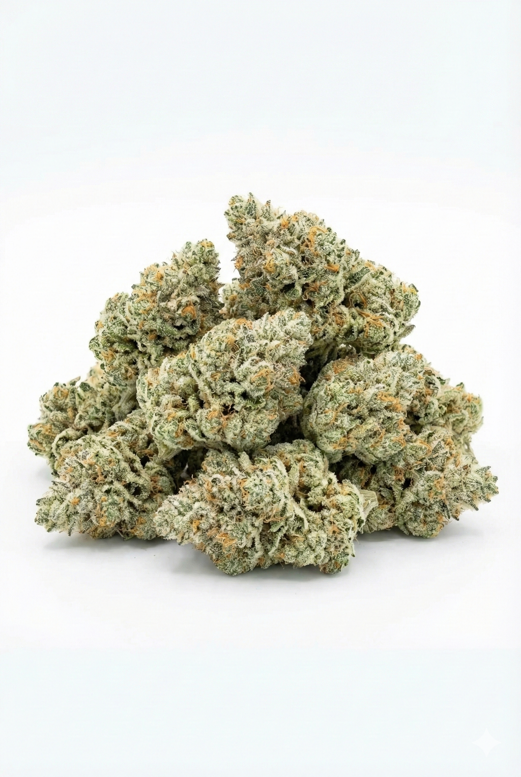 Tas de fleurs de CBD Edelweiss Haze manucurées présentées en vrac sur fond blanc