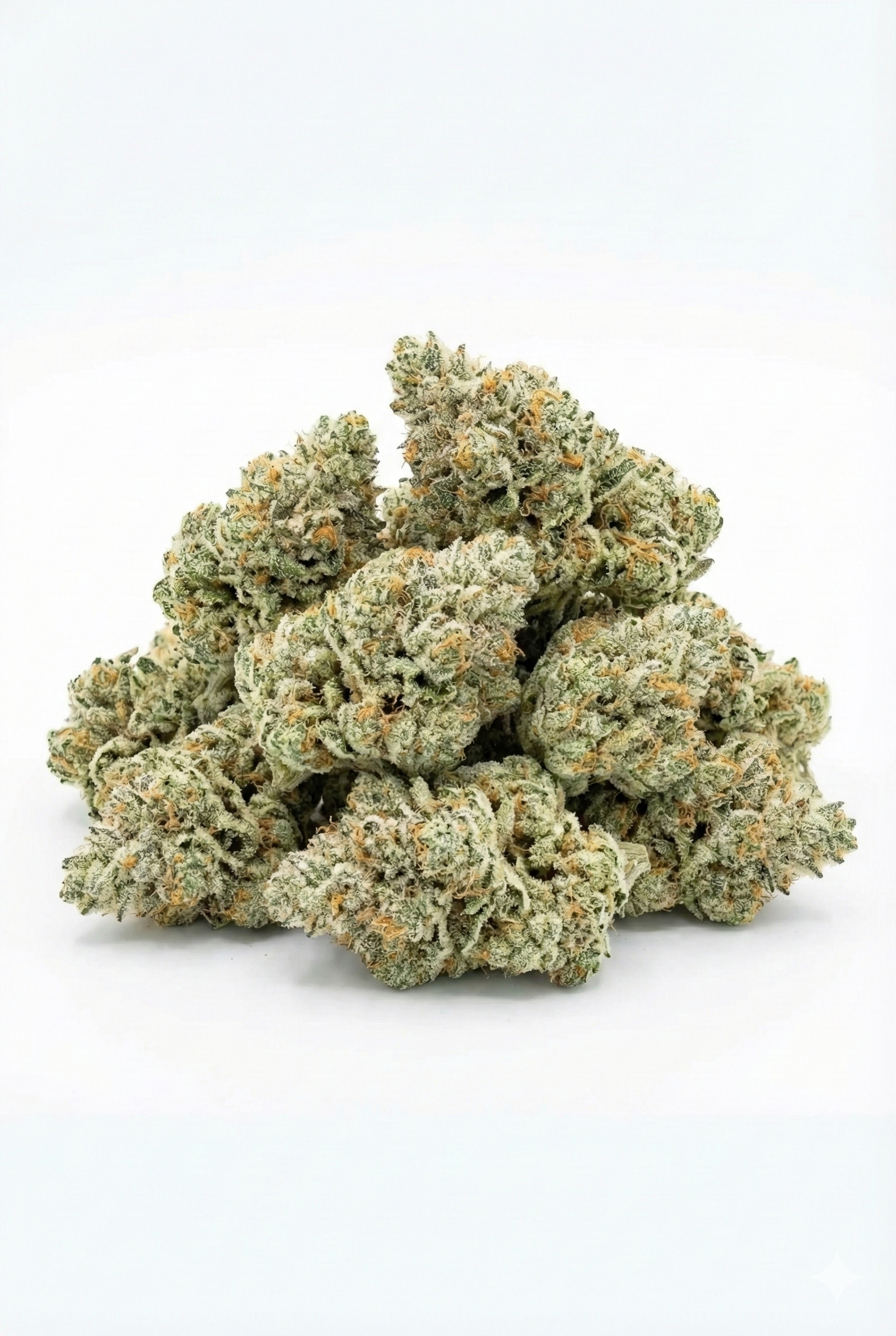 Tas de fleurs de CBD Edelweiss Haze manucurées présentées en vrac sur fond blanc